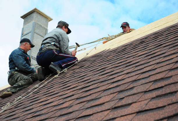 Best Storm Damage Roof Repair  in Pierson, FL